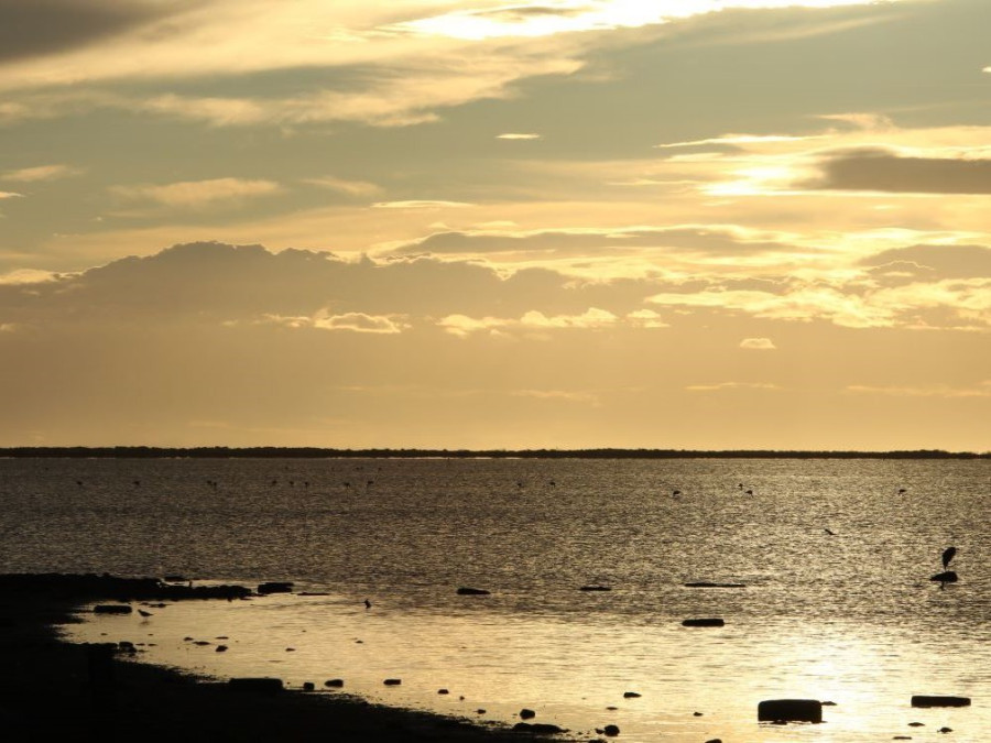 Coucher de soleil en Camargue