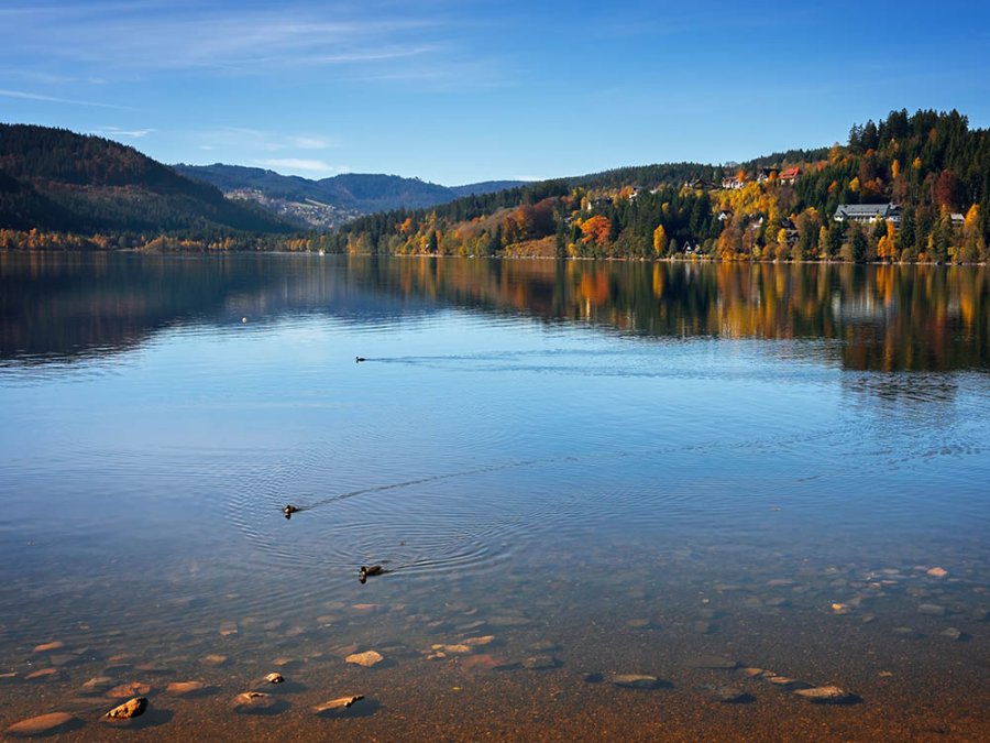 le Grand Titisee