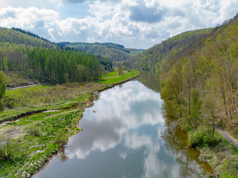 Trésors de l'Ardenne Trésors de l'Ardenne