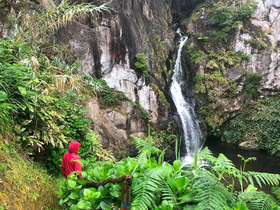 Nature à São Miguel, dans les Açores Nature à São Miguel, dans les Açores