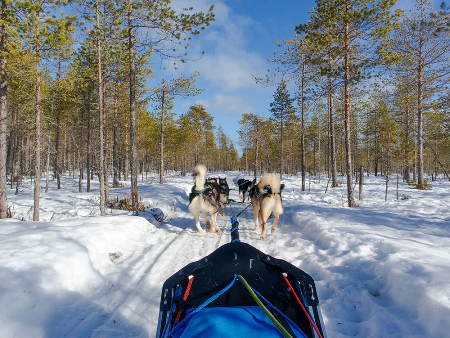 Hiver à Suomussalmi