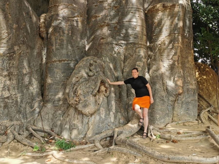 Baobab sacré Sénégal