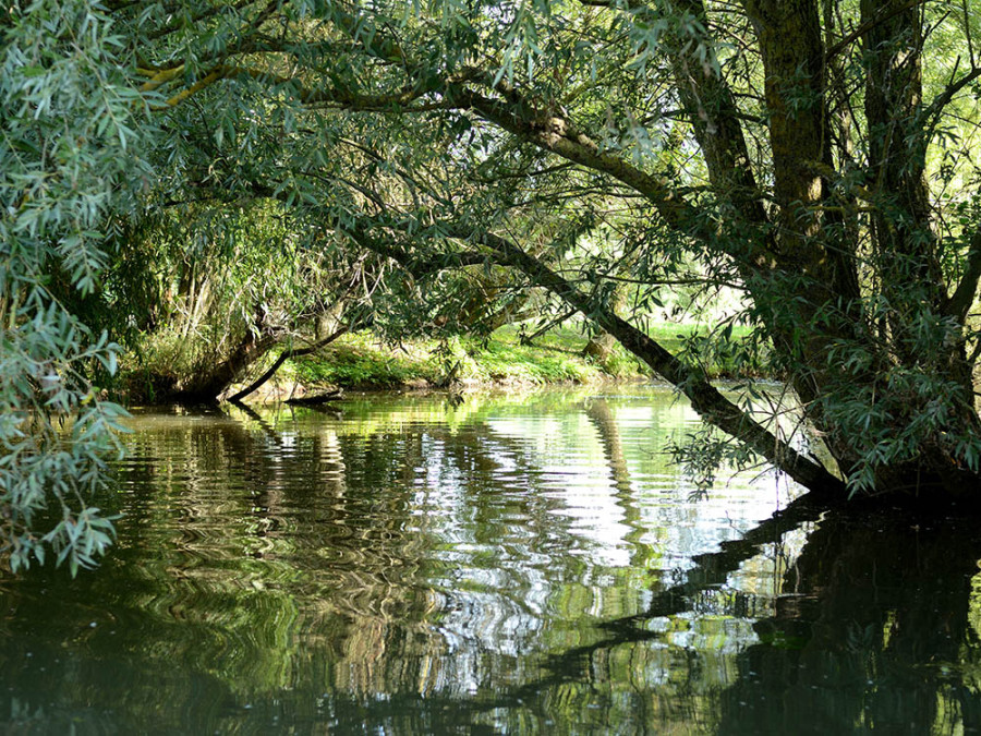 Marais de l'Audomarois Marais de l'Audomarois