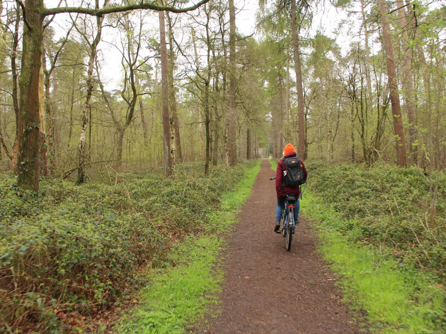 Promenade en vélo en Flandre