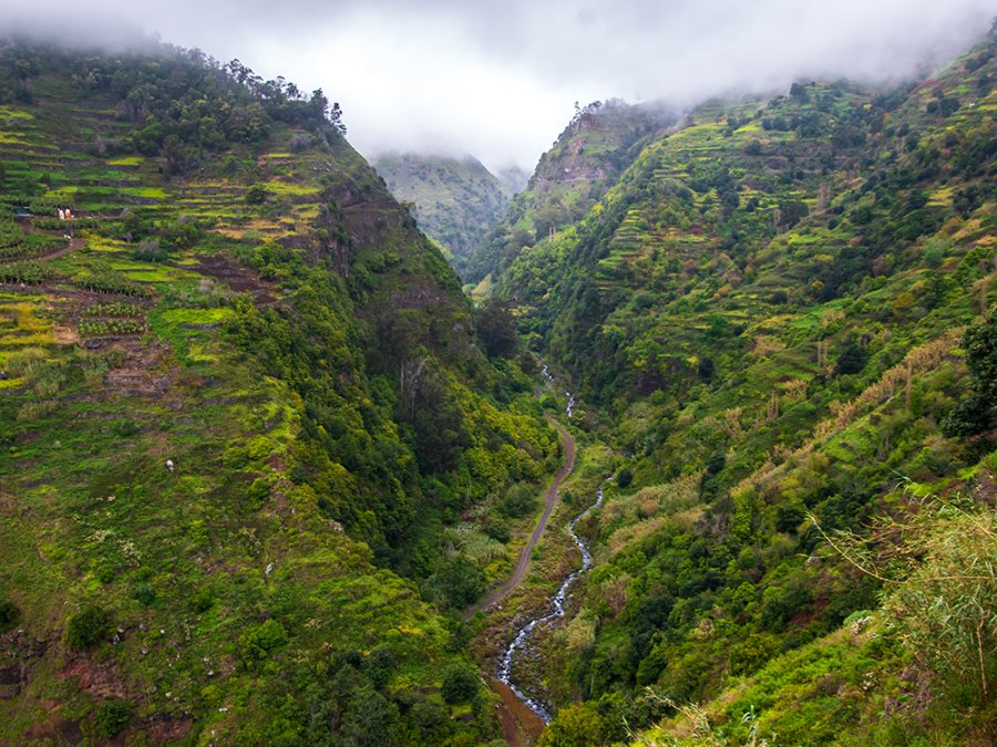Levada do Moinho