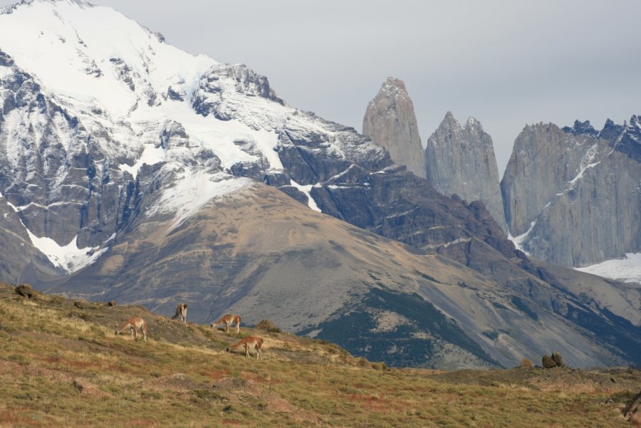 Torres Patagonie