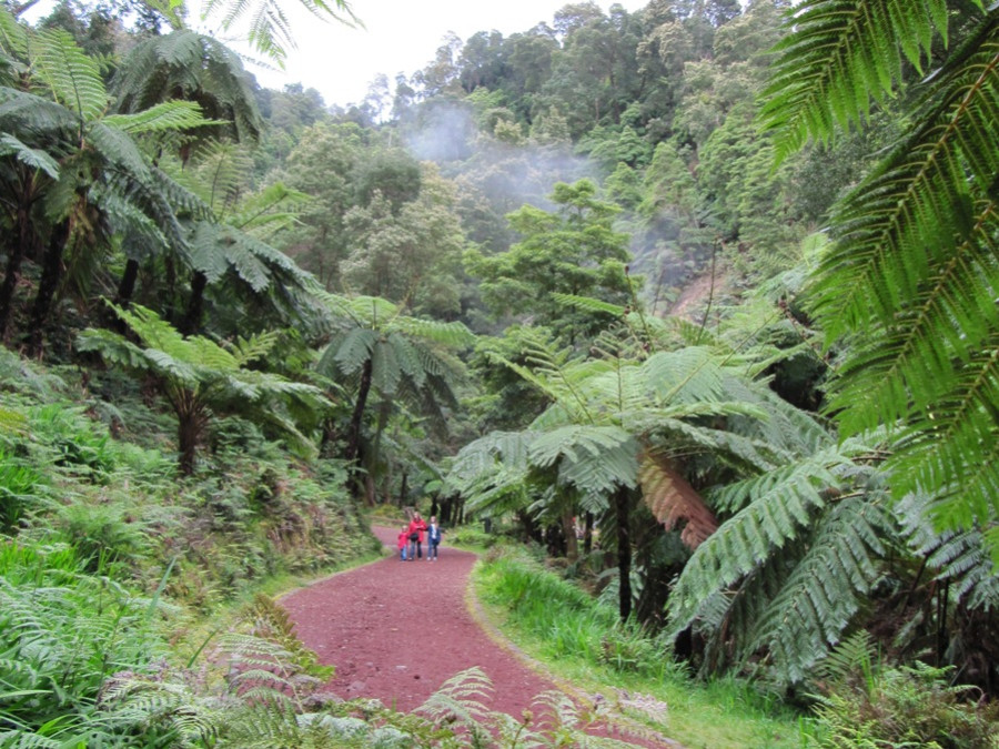 La nature sur l'île de Sao Miguel