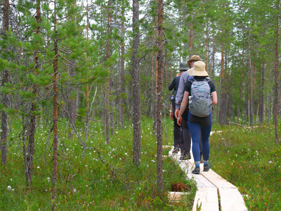 Laponie finlandaise en été
