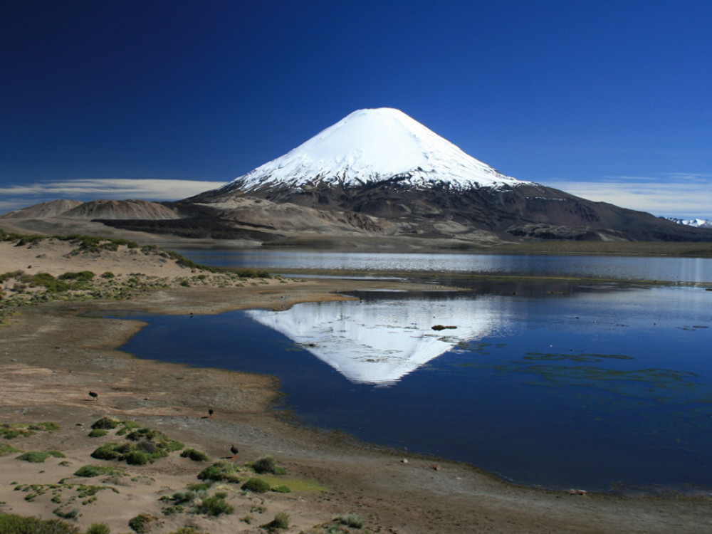 Nature en Amérique du Sud (Chili)