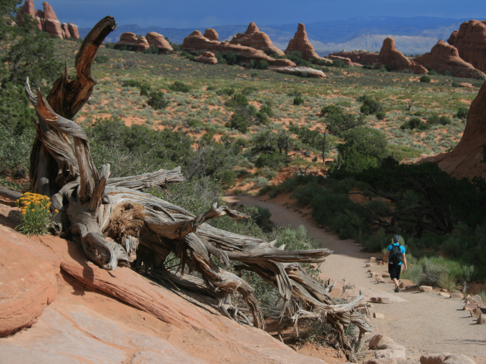 Arches national park