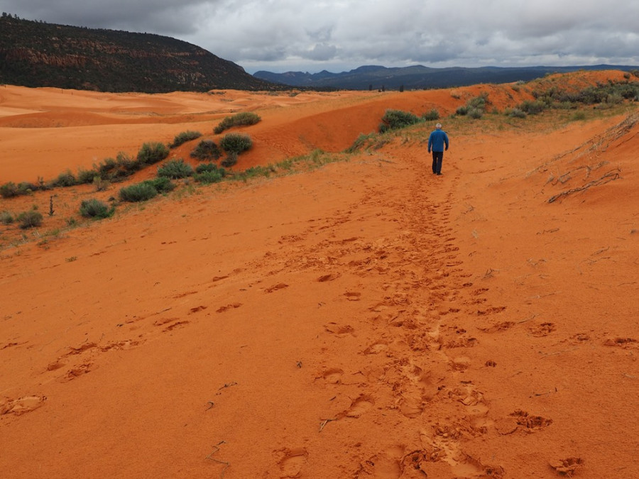 La nature dans le sud-ouest des États-Unis La nature dans le sud-ouest des États-Unis