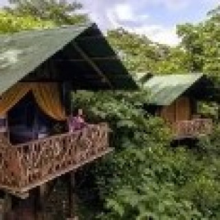 Image pour Booking.com - La Tigra Rainforest Lodge