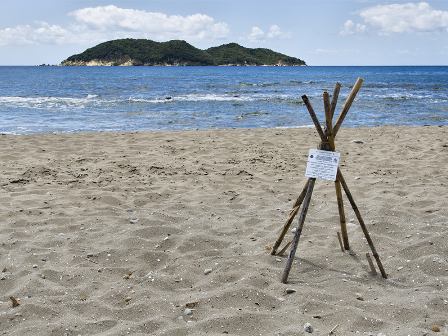 Plage de Dafni, Zante Plage de Dafni, Zante
