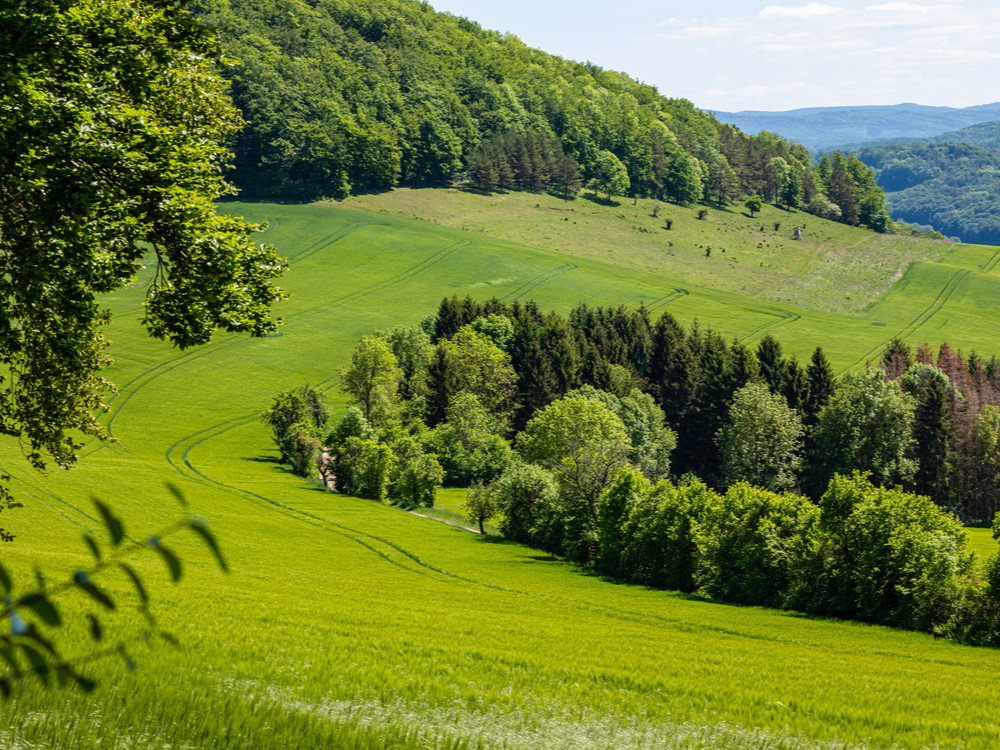 Thuringe, Thüringen