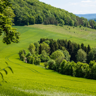 Image pour La Thuringe en Allemagne