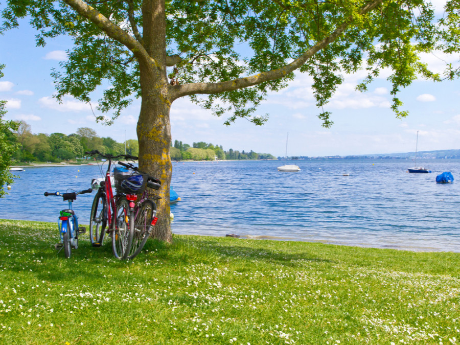 Faire du vélo au bord du lac de Constance