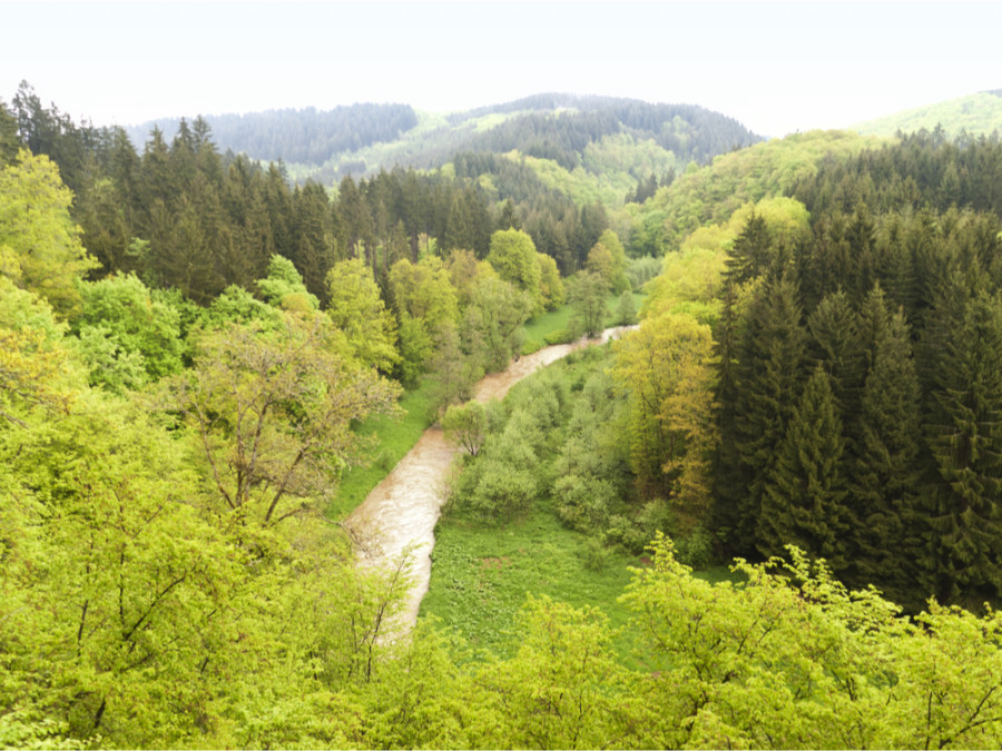 Les plus beaux sentiers de randonnée en Eifel Les plus beaux sentiers de randonnée en Eifel