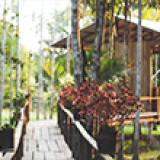 Image pour Booking.com - Ecolodge Amazon Forest