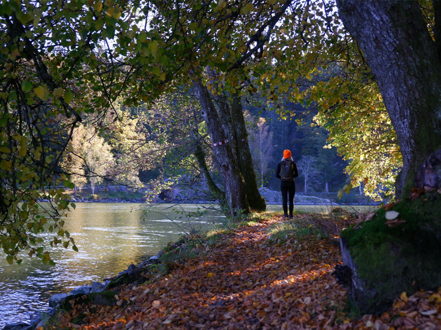 Randonnée dans l'ouest de la Suède