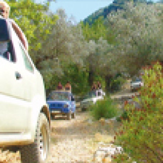 Image pour Get Your Guide - Tramuntana