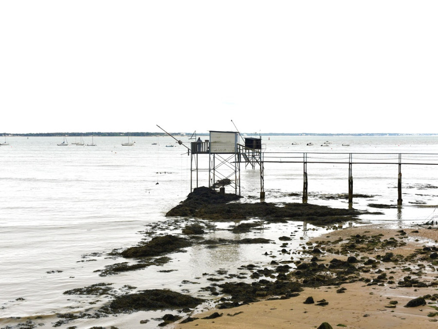 Pêcheurs près de la côte Pêcheurs près de la côte