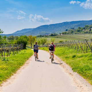 Image pour Vélo en Allemagne