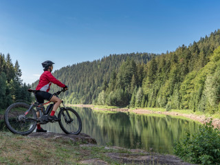 Image pour Le cyclisme dans la Forêt-Noire