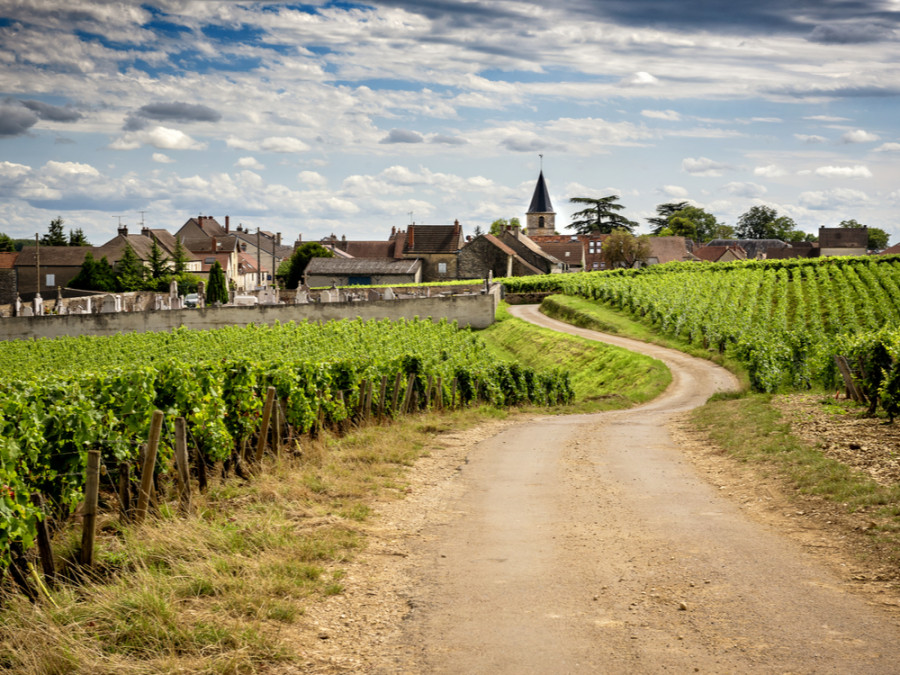 Vacances en Bourgogne