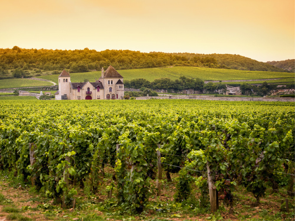 La Bourgogne