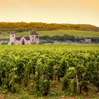 Image pour La Bourgogne