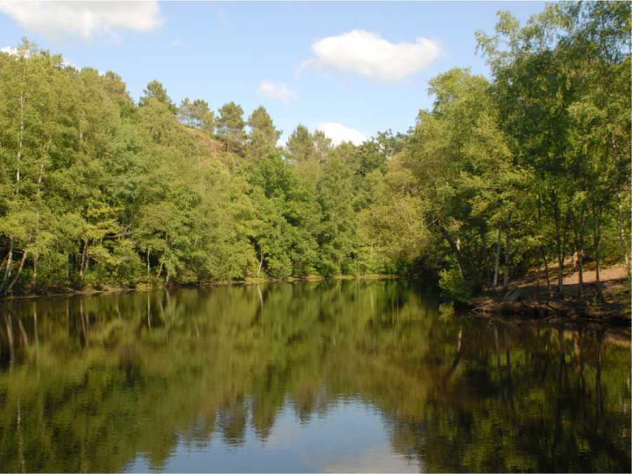 Forêts en Bretagne