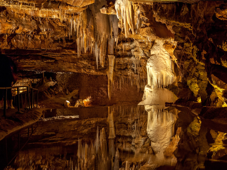Grottes de Dordogne Grottes de Dordogne