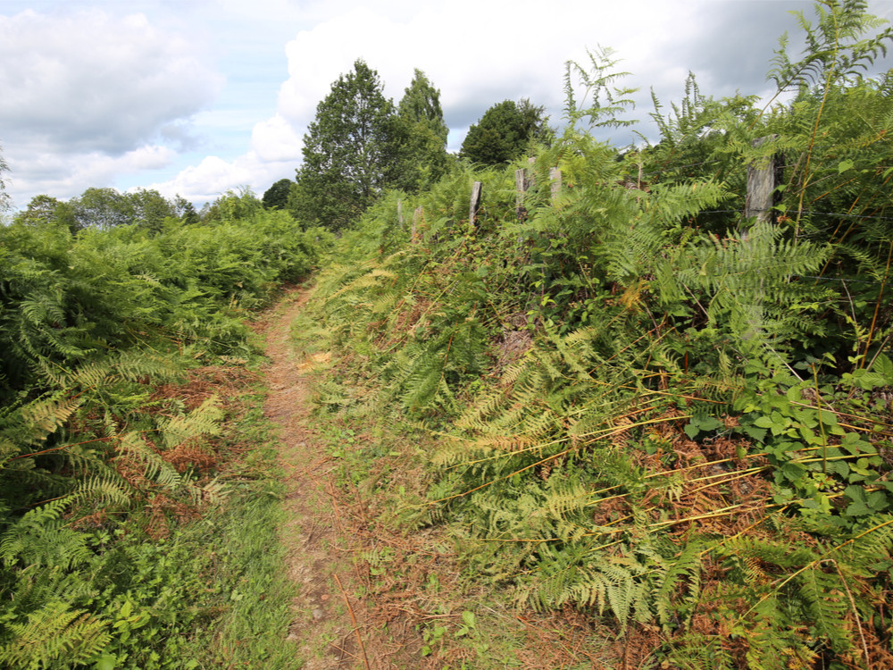 Nature en Haute-Saône