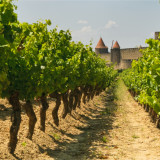 Image pour Languedoc-Roussillon