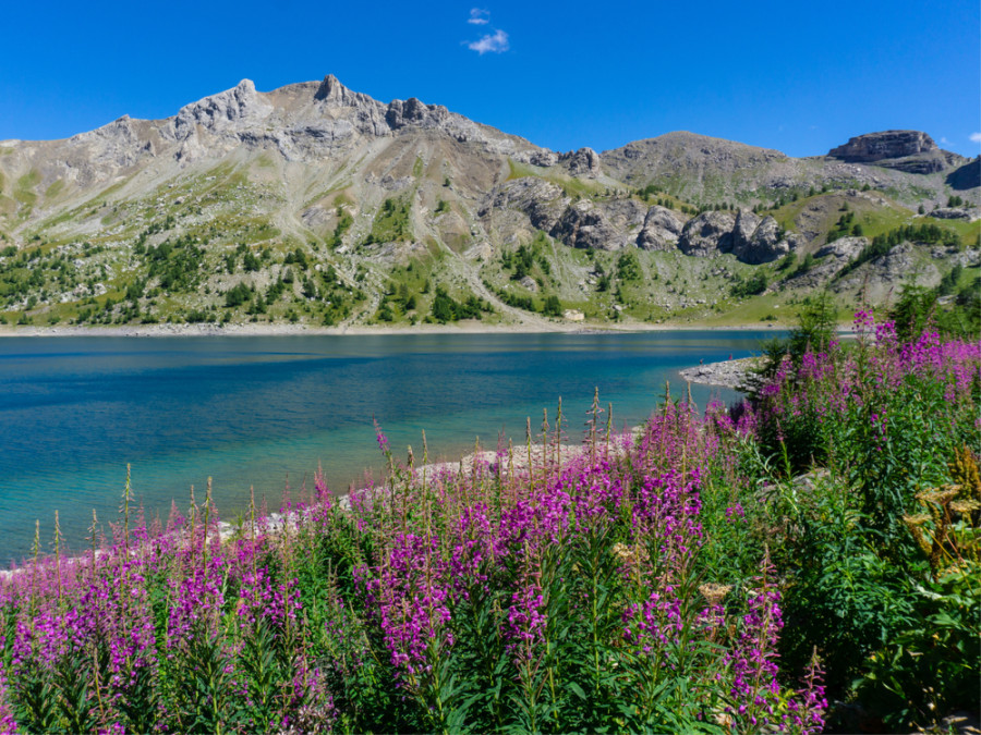 Parc national dans les Alpes
