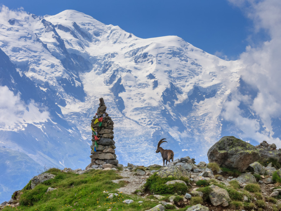 Randonnées dans les Alpes françaises Randonnées dans les Alpes françaises