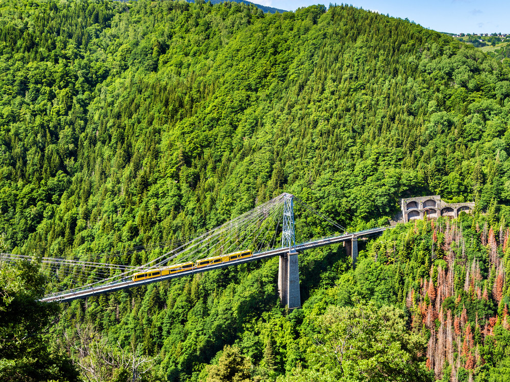 Train jaune