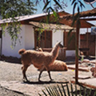 Image pour Booking.com - Atacama en famille