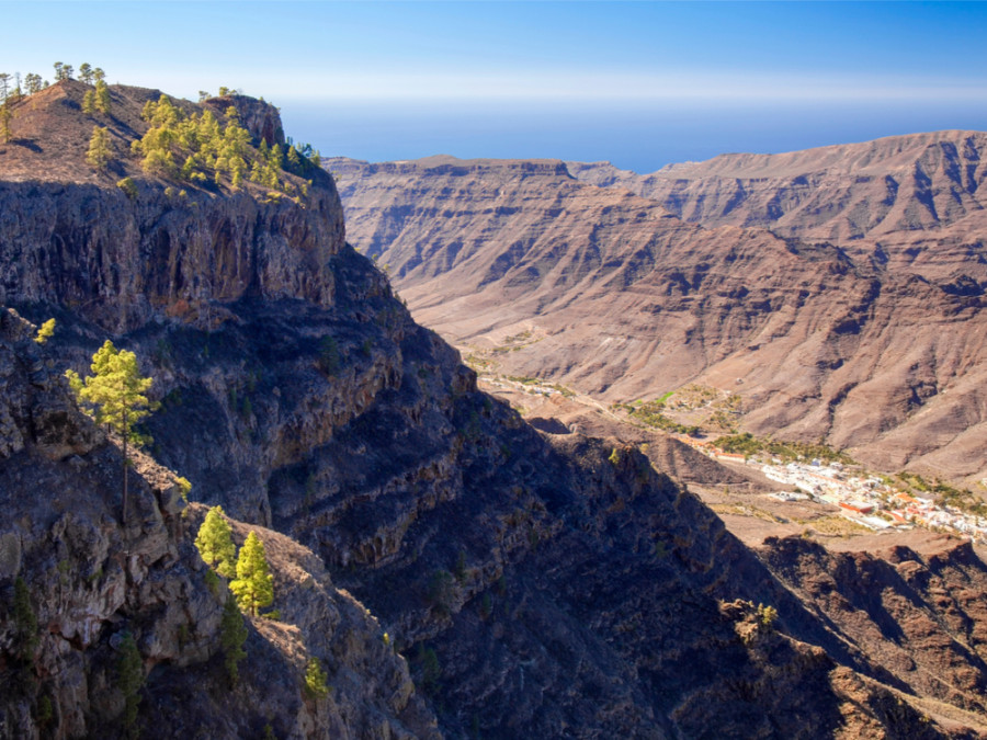Nature sauvage aux Canaries