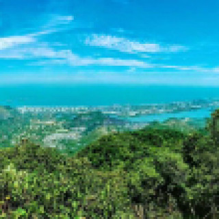Image pour Get Your Guide - Randonnée en forêt de Tijuca