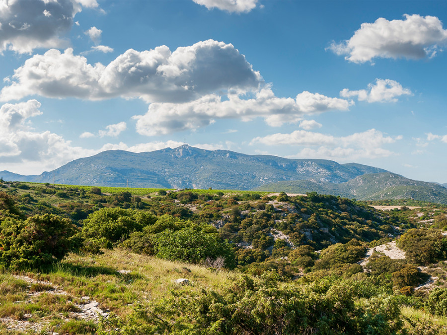 Parcs naturels du Languedoc
