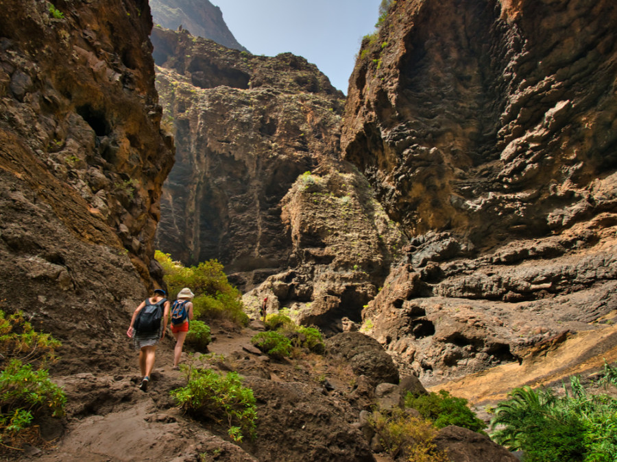 Les îles canaries ensoleillées Les îles canaries ensoleillées
