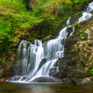 Image pour Parc national de Killarney