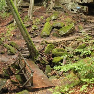 Image pour Mullerthal