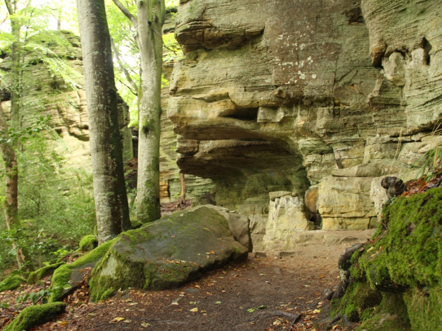 Les plus beaux chemins de randonnée