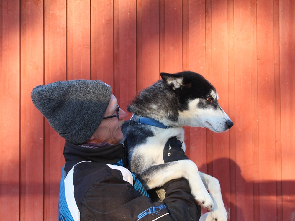 Ferme de huskies en Finlande