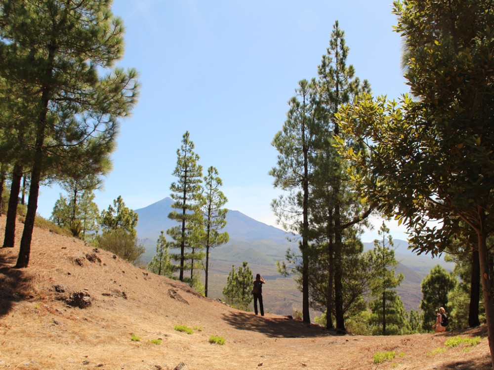 Parc naturel de Teno