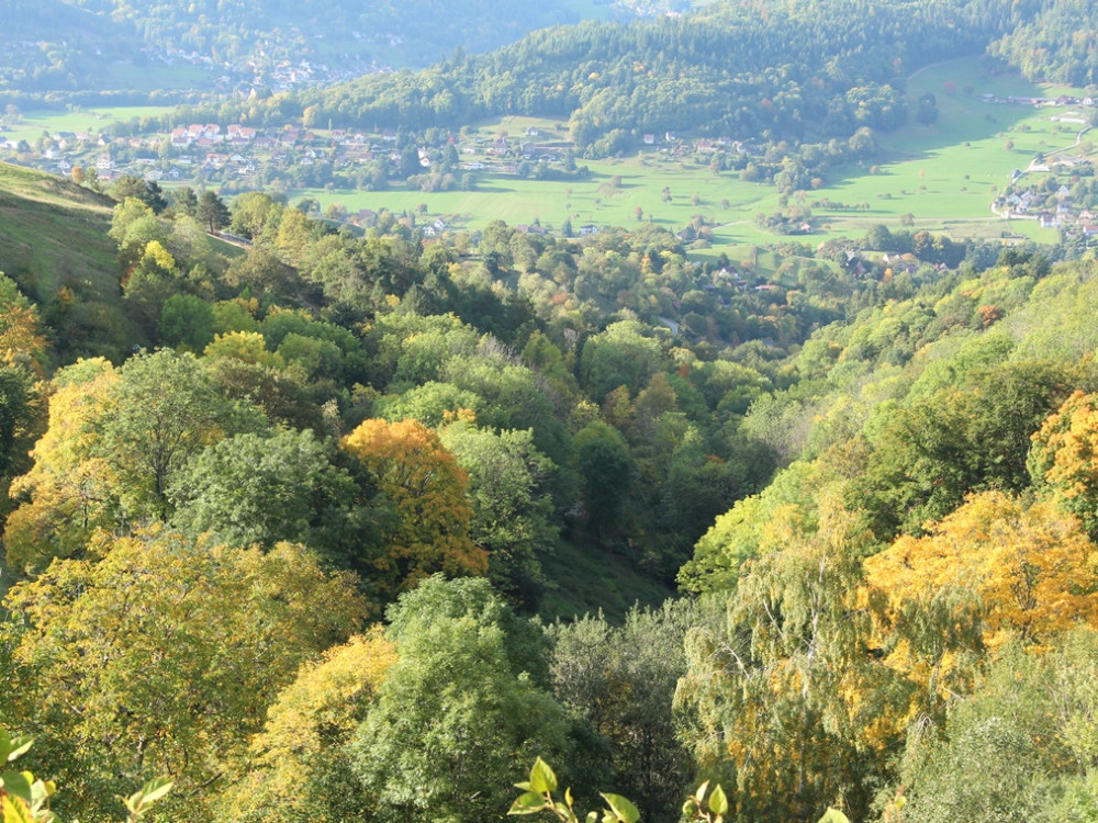 Vosges