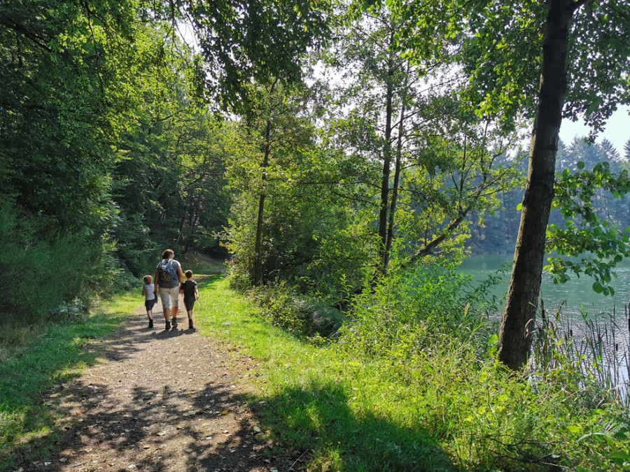 Randonner avec des enfants en Eifel Randonner avec des enfants en Eifel