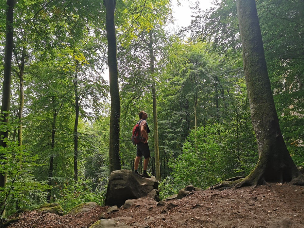 Profiter du calme en Eifel